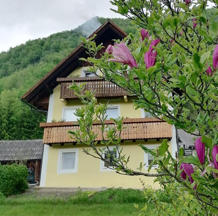 Apartment House Andrej Бохінь Екстер'єр фото