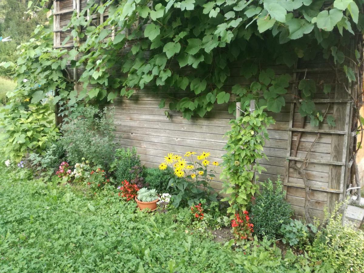 Apartment House Andrej Бохінь Екстер'єр фото