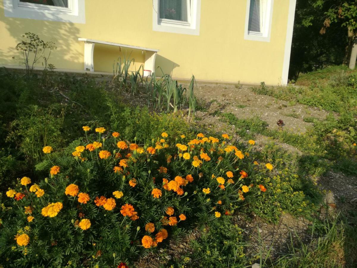Apartment House Andrej Бохінь Екстер'єр фото